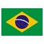 Português Brasil